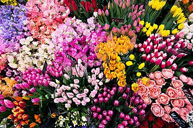 V社新作《Deadlock》大量内容泄露 6v6第三人称英雄射击游戏